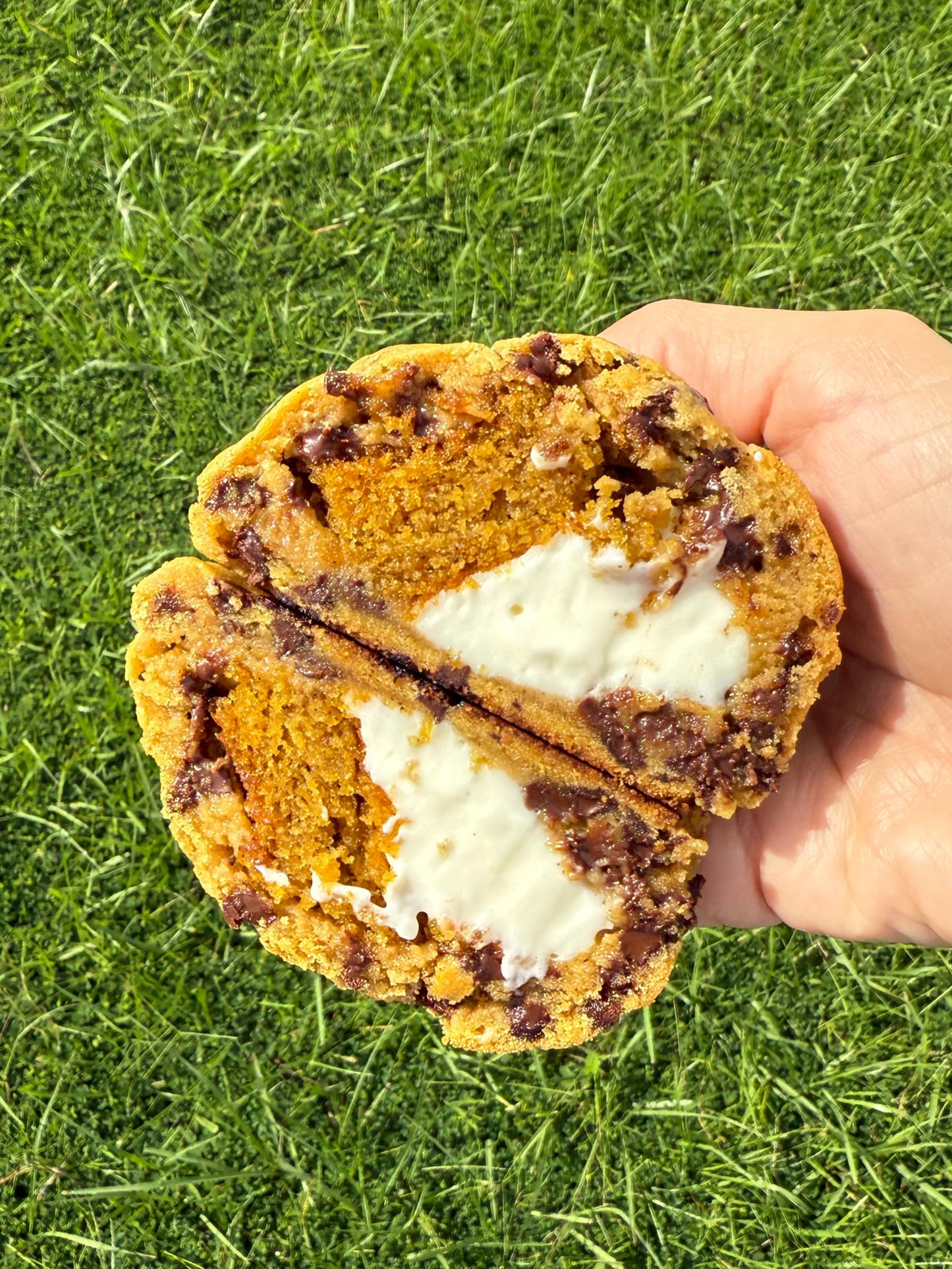 *New* Velvet Pumpkin