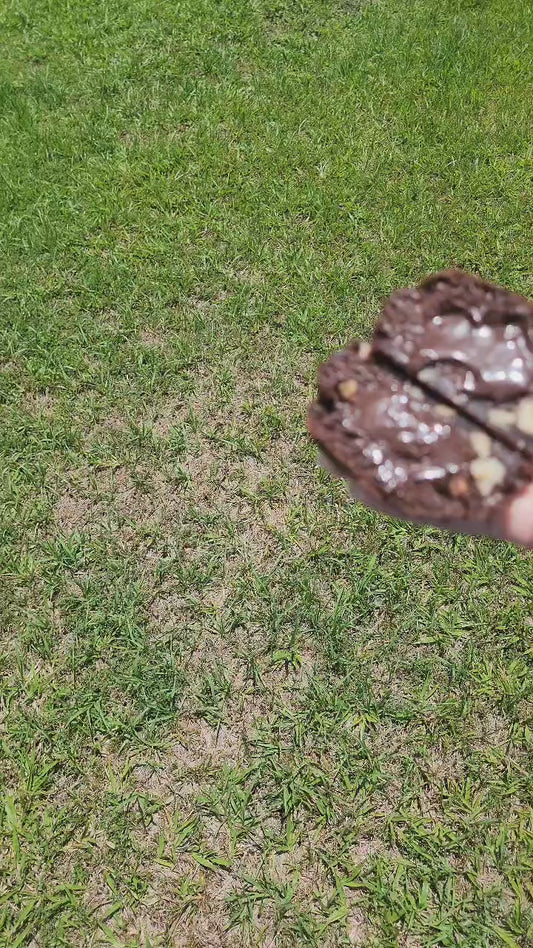 Chocolate Fudge