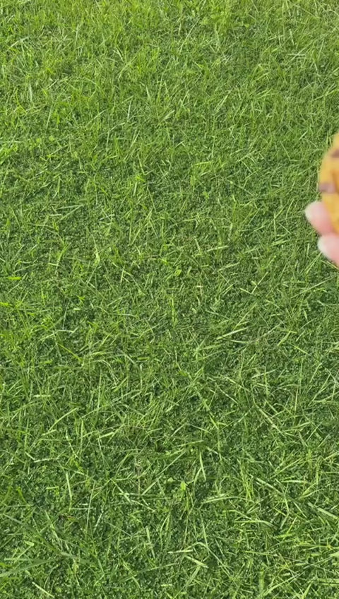 *New* Velvet Pumpkin